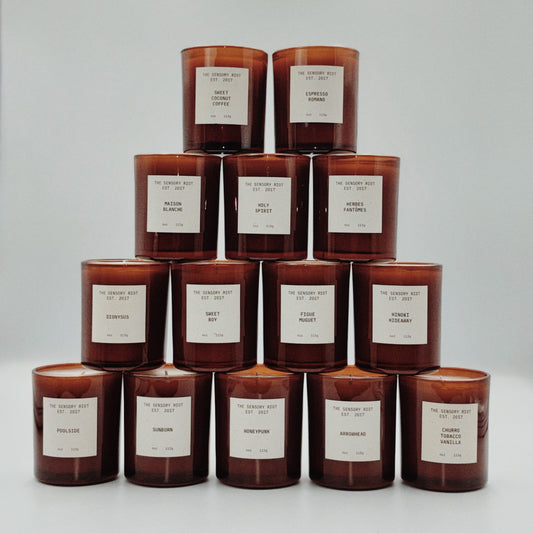 TSR COMPLETE DISCOVERY SET