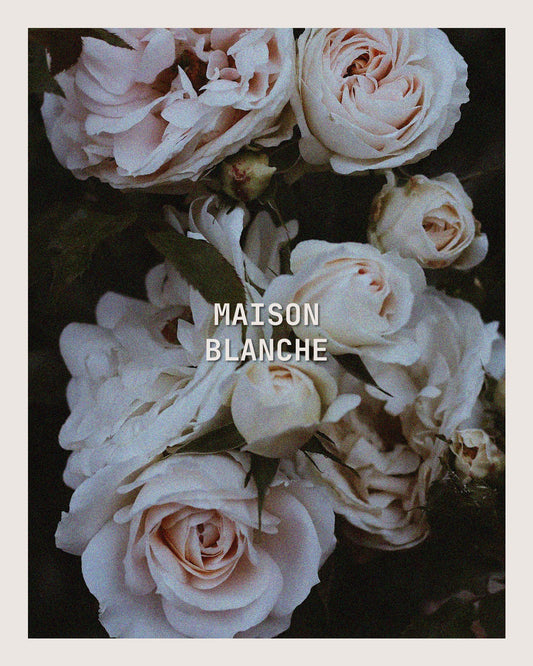 MAISON BLANCHE