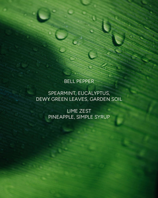 MINT MOJITO BELL PEPPER