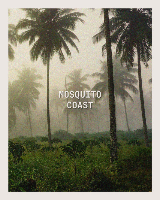 MOSQUITO COAST