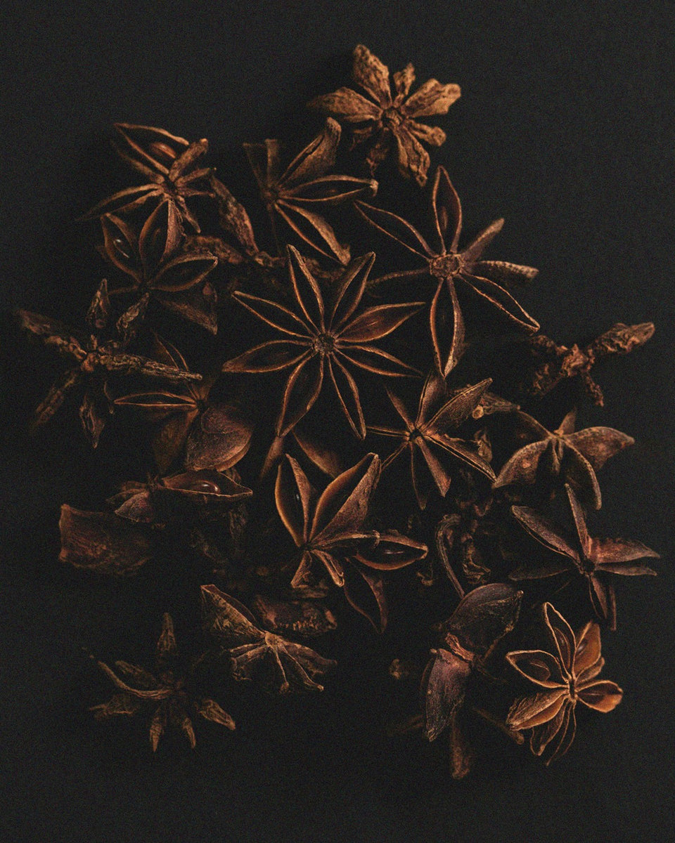 THE SENSORY RIOT - Intentionally Unexpected Candles